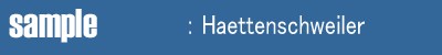 Haettenschweiler